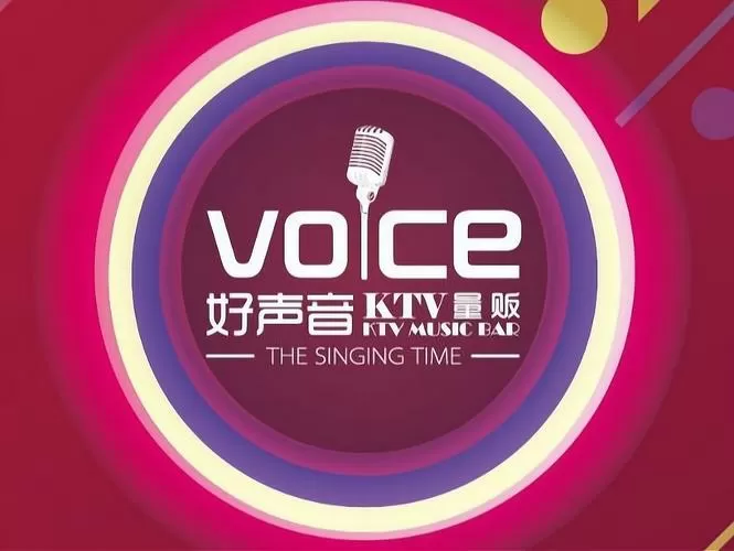 智能网络k歌视频音响