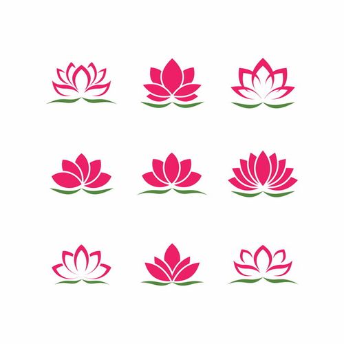 9·1短视频荷花