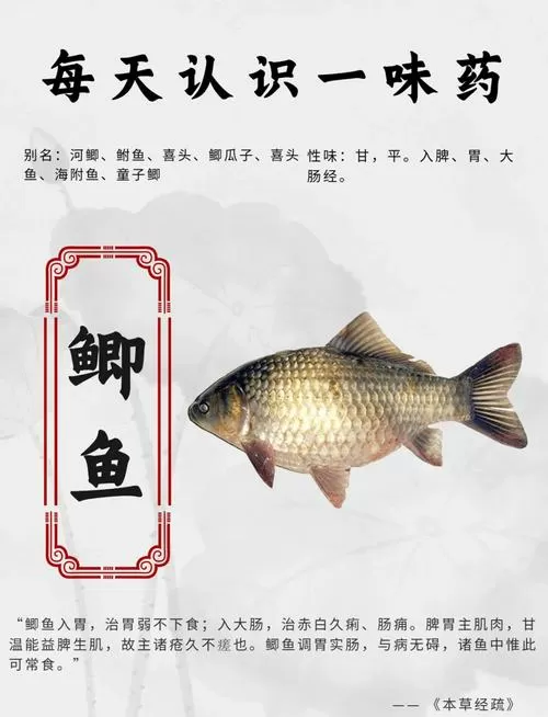 鲫鱼不能和什么一起吃