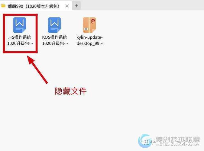 麒麟系统文件带锁怎么解除