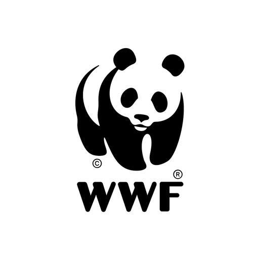 熊猫网络