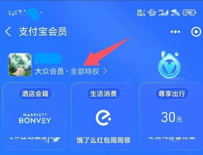 支付宝会员等级颜色有几种