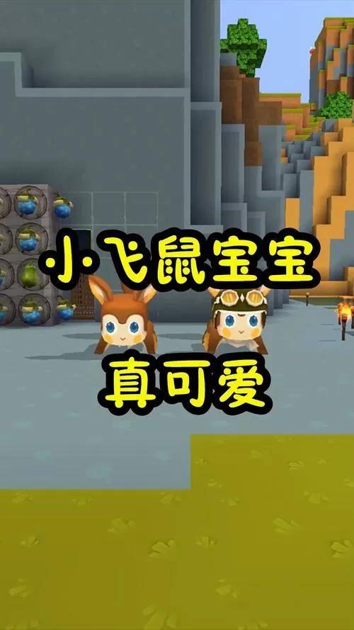 迷你世界小飞鼠下蛋出生样子