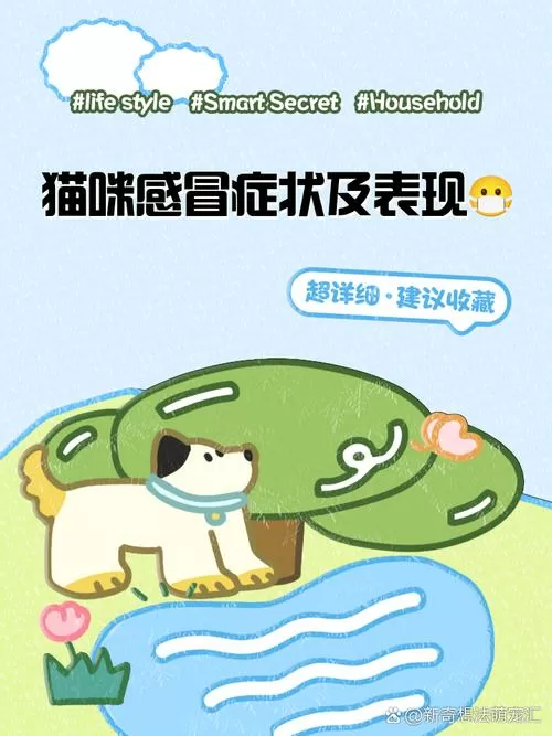 猫咪感冒症状