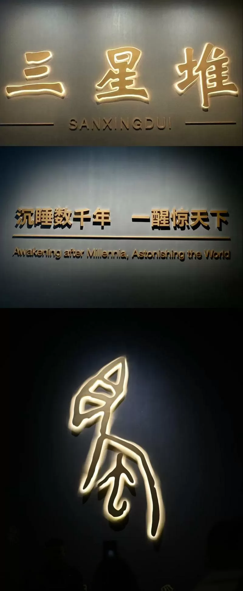 沉睡了千年的身体
