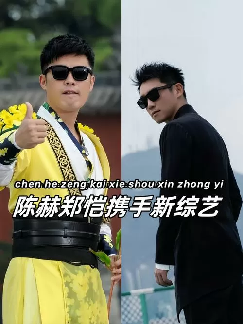 陈赫综艺节目