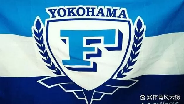 日本fc是什么意思