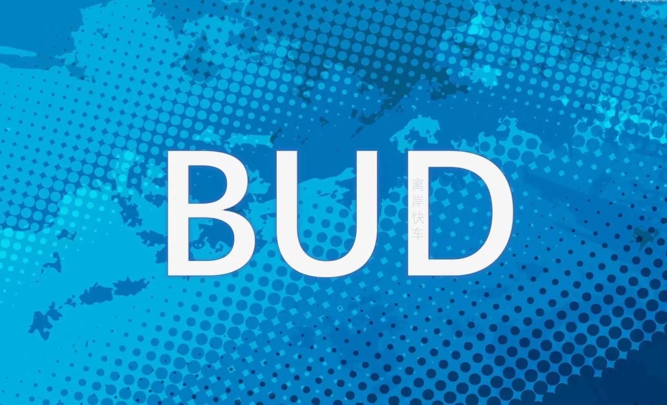 bud官方正版