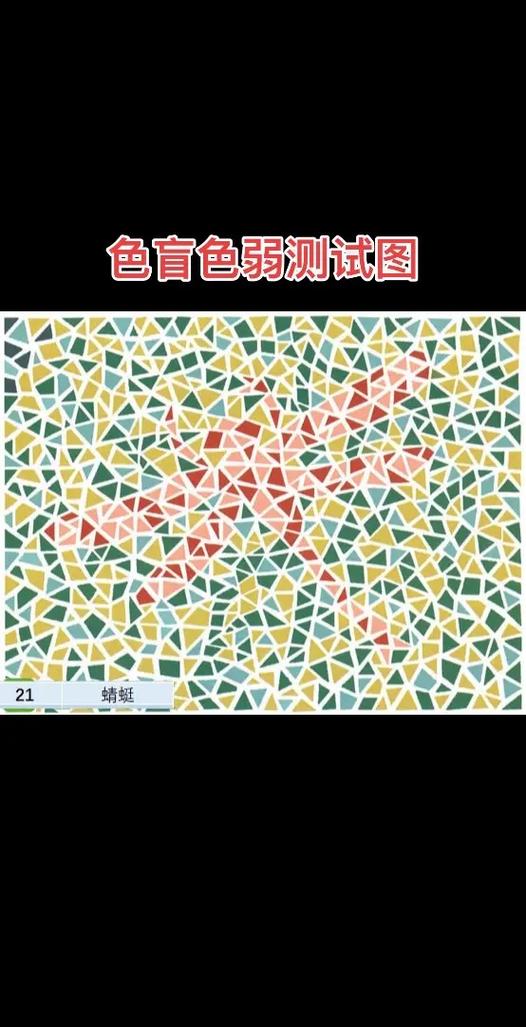色盲检查图第六版pdf下载免费