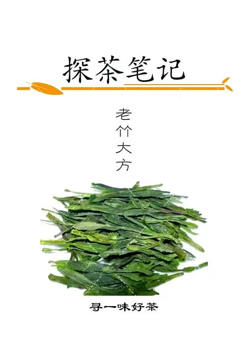 竹子老何个人简历