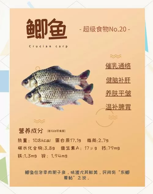鲫鱼的鱼鳞有营养吗