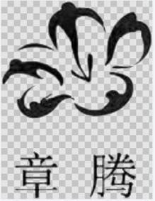 源林视听