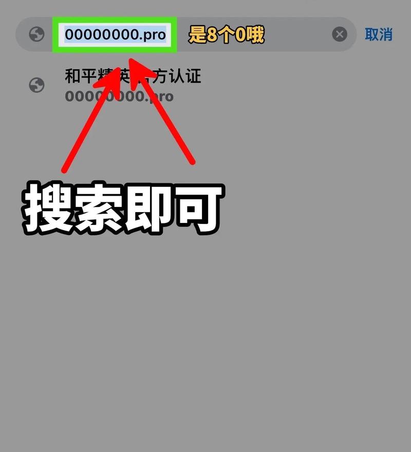 大白兔VIP版本画质助手加速永久免广告版极速版2023