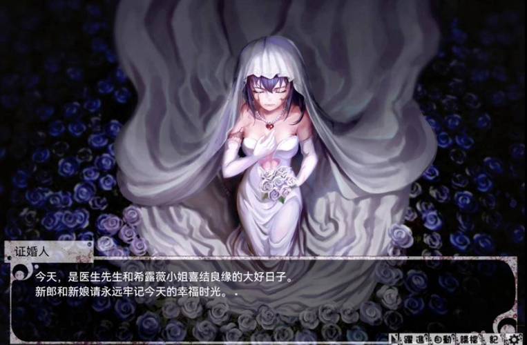 薇希尔汉化安卓最新版本安卓版