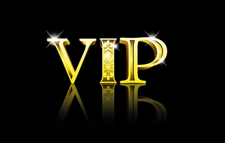 logo设计字体设计永久vip版