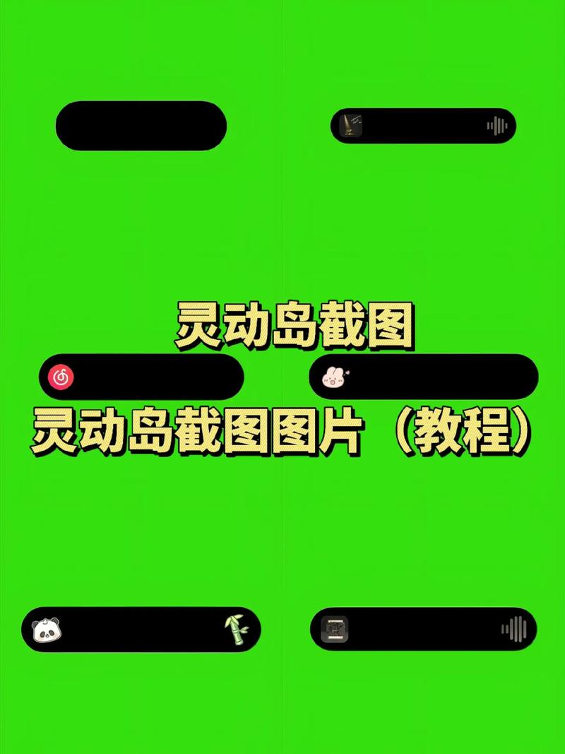 灵动岛