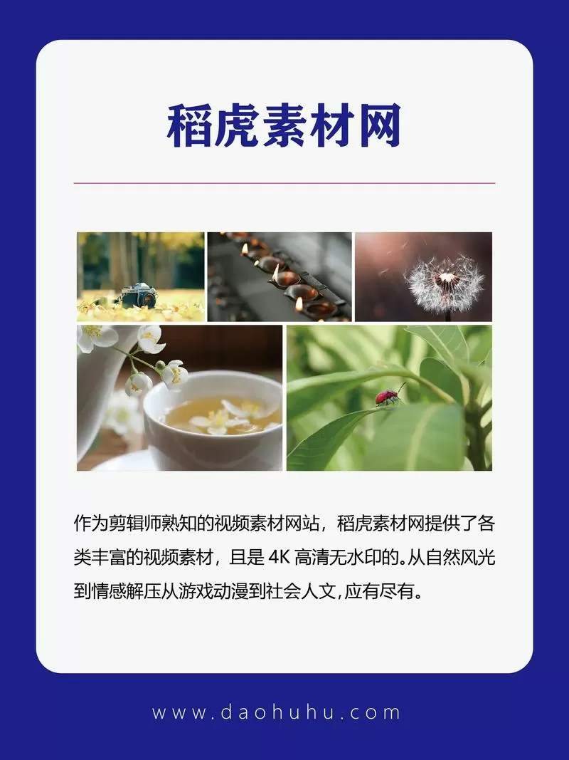 稻虎素材库网站