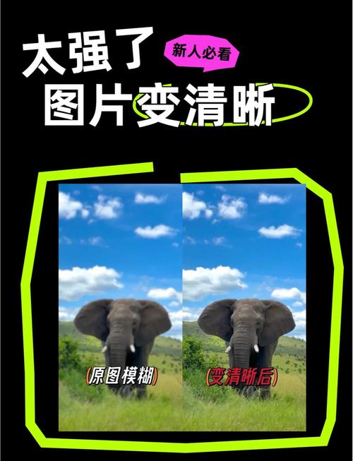 照片调整像素后变模糊