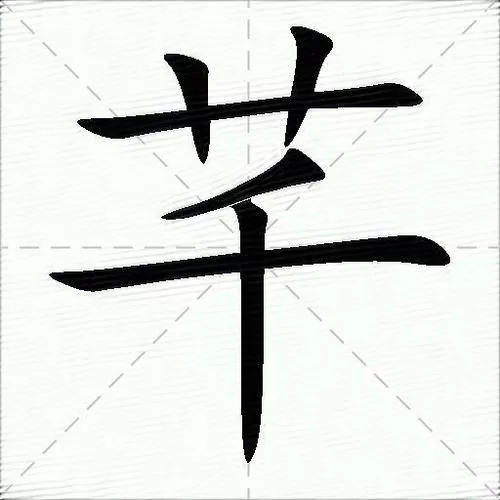 芊芊怎么读拼音