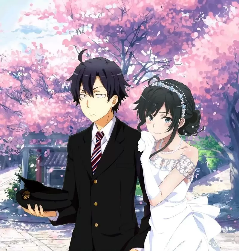雪之下雪乃和比企谷八幡结婚
