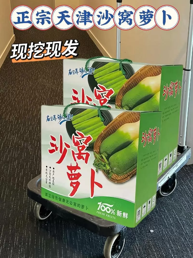 沙窝萝卜什么时间上市