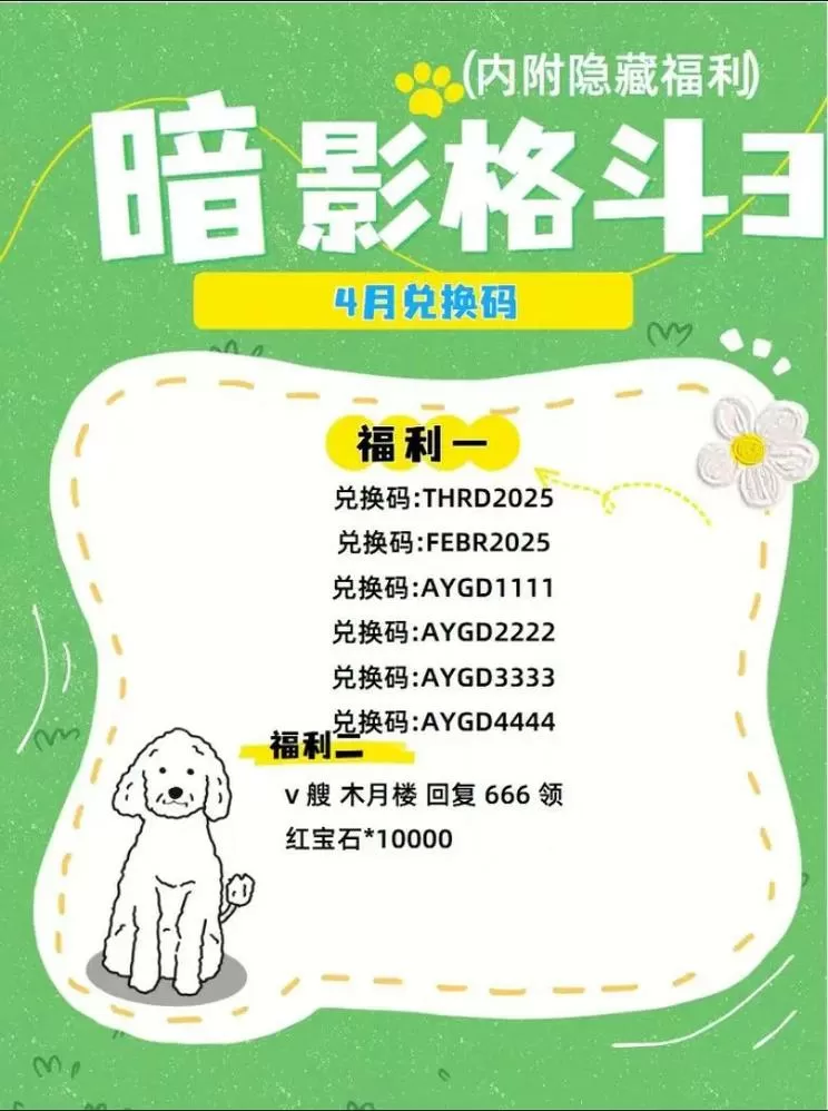 天天格斗暗影之剑兑换码