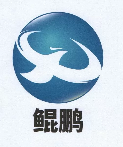 科技公司:从发布鲲鹏手机开始