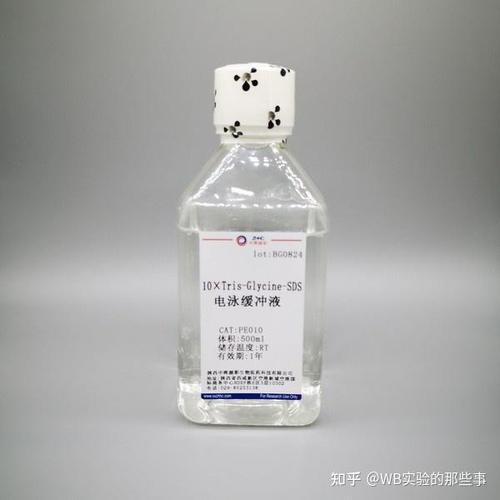wb电泳液