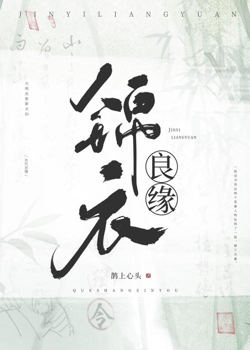 锦衣良缘金手指2