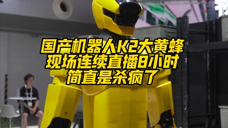 大黄蜂直播