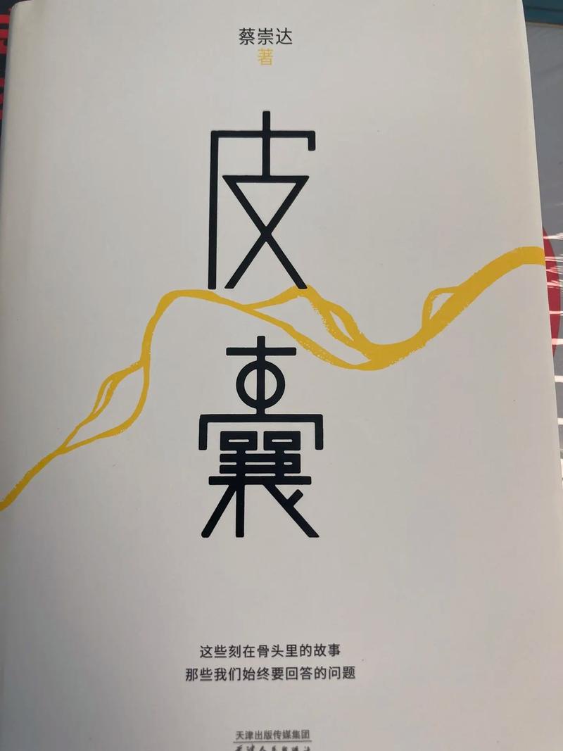 皮皮书小说免费