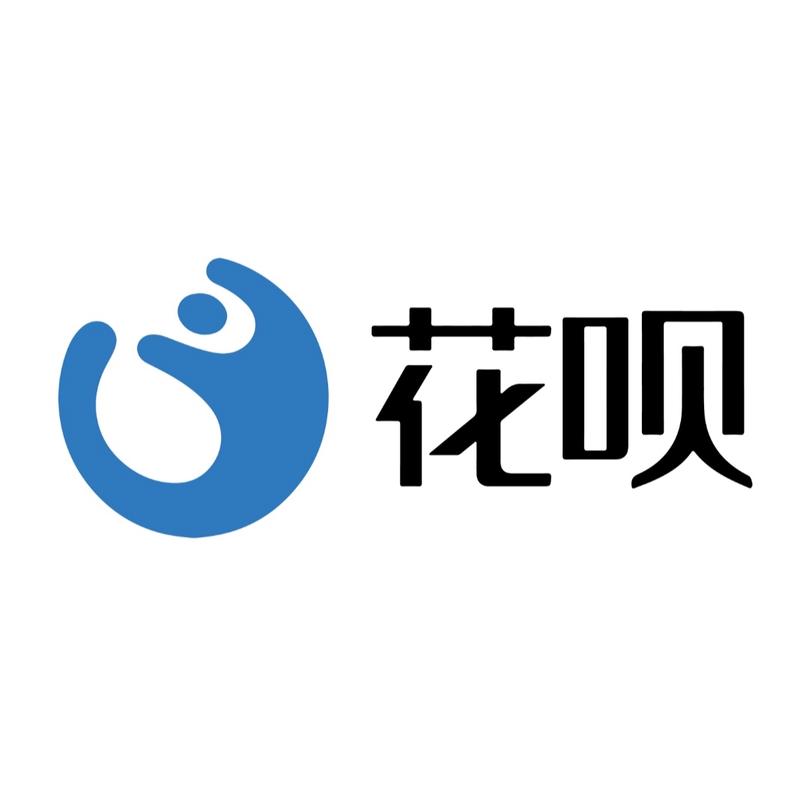 先花小贷