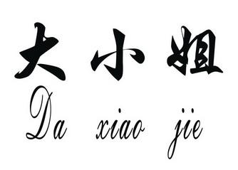 大小姐视频