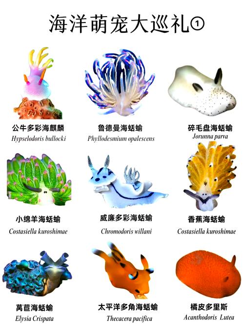 海兔资讯赚钱app