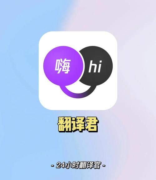 天天翻译君