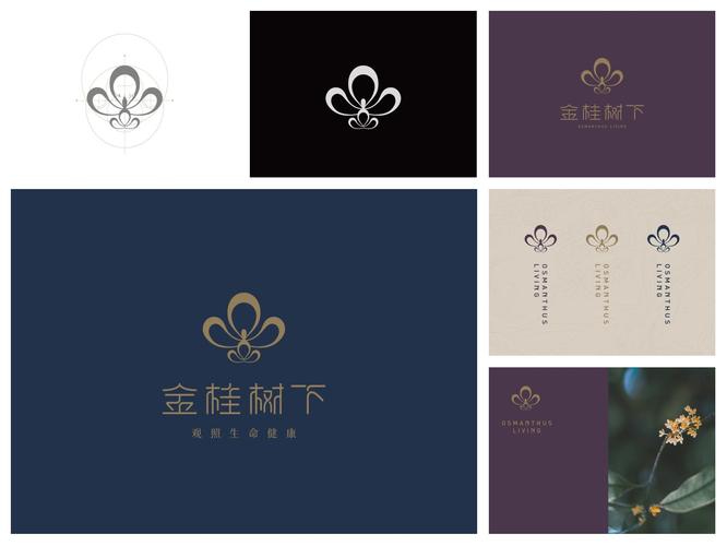 金桂转APP客户端