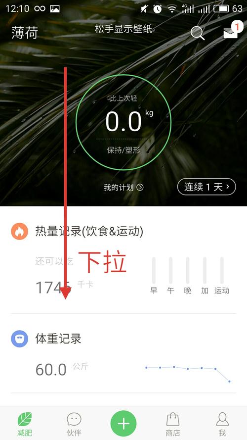 薄荷