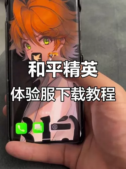 iPad怎么下载和平精英