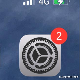 和平精英麦克风权限