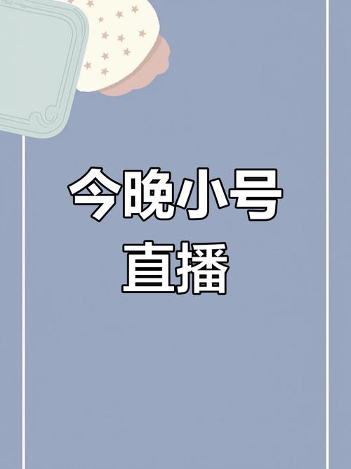 什么叫小号直播