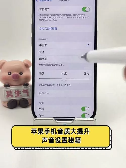 苹果媒体音量在哪里设置