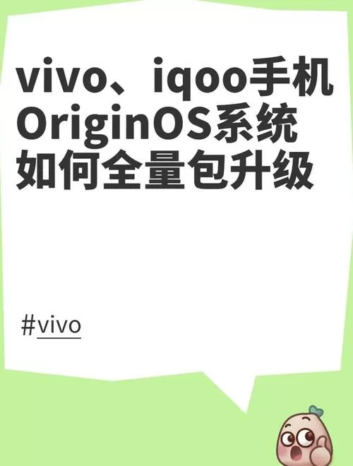 vivo怎么刷全量包