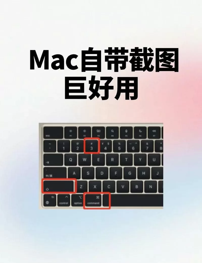 如何在mac上运行windows软件