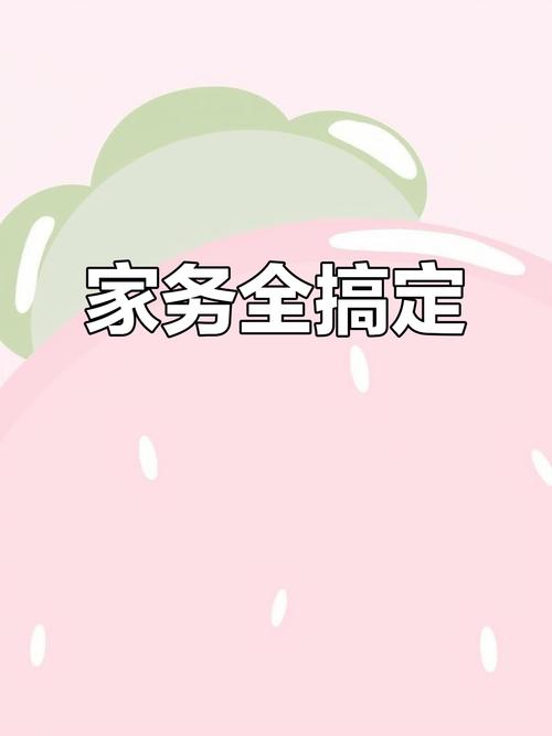 家务v0.20.1汉化版安卓