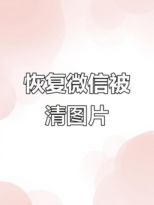 在已删除的照片清空了还能找回吗