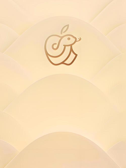 wallpaper壁纸引擎2025最新版