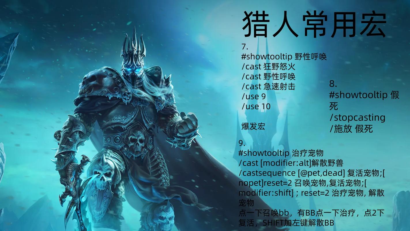 魔兽世界猎人宏