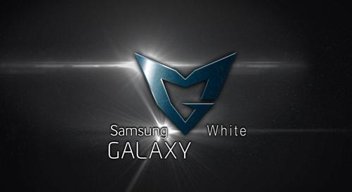 ssw战队