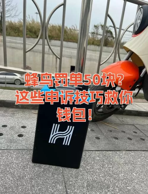 蜂鸟众包罚单申诉技巧