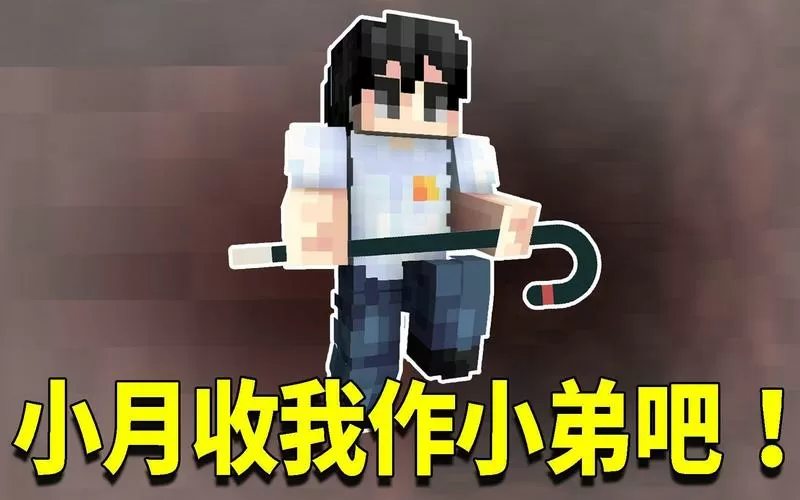 我的世界阿阳小月生存日记